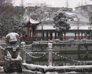 太和区天气预报