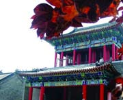 昌邑区天气预报