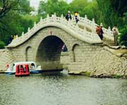 杨树镇天气预报