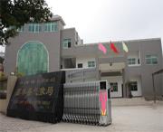 西林区天气预报