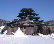 绥芬河边贸市场天气预报