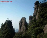 东白湖镇天气预报