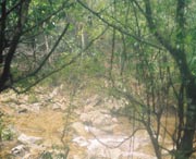 林山乡天气预报