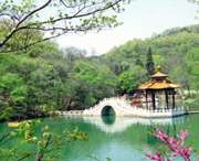 凤阳县韭山洞天气预报