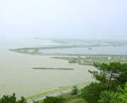 居巢区天气预报