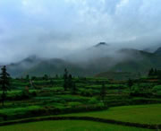 台江区天气预报