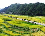 鳌阳镇天气预报