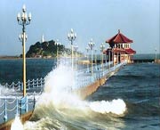 红岛街道天气预报