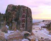 泰山区天气预报