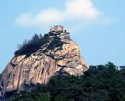 师河区天气预报