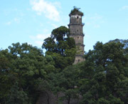 蓝山黄毛岭茶场天气预报