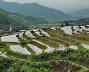 九峰镇天气预报