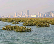 防城港西湾广场天气预报