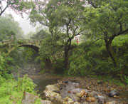 西湾街道天气预报