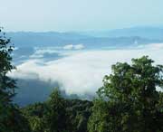 夏溪乡天气预报