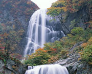 土门乡天气预报