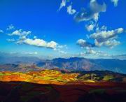 东川区天气预报