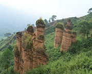 大山乡天气预报