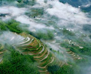 黄草岭乡天气预报