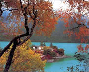 林芝天气预报