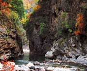 骆峪镇天气预报