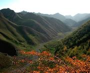 刘川乡天气预报